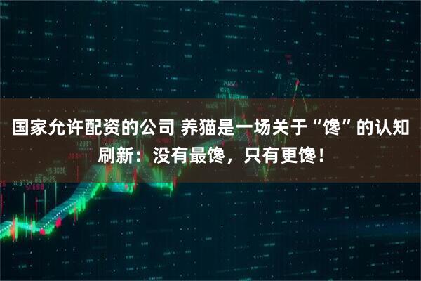 国家允许配资的公司 养猫是一场关于“馋”的认知刷新：没有最馋，只有更馋！