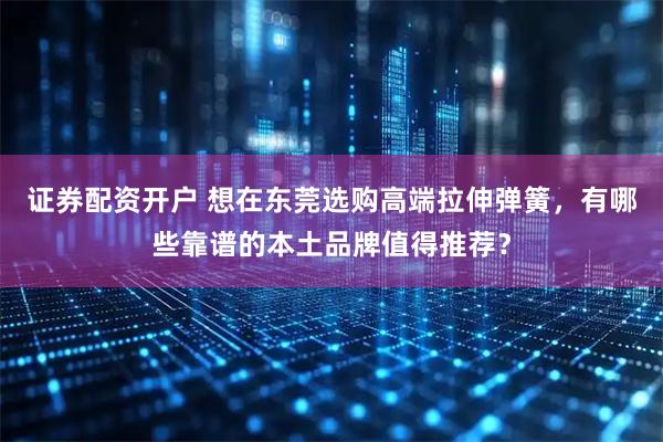 证券配资开户 想在东莞选购高端拉伸弹簧，有哪些靠谱的本土品牌值得推荐？